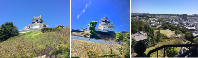 掛川城遠望と天守閣からの眺め