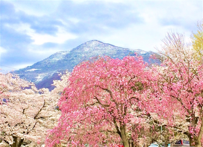 秩父での楽しみ方 秩父好きが選ぶ おすすめ大人観光スポット８ 埼玉 老後 生き活き計画 進行中 大人lifeのすすめ