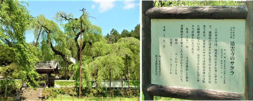 秩父清雲寺