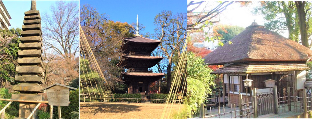 椿山荘の庭園内部と三重塔