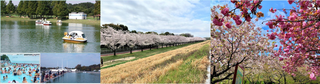 公園内部の様子 (一部水上公園のホームページより)