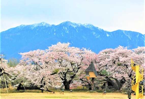 清春からの南アルプス