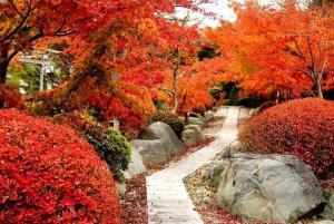 真木温泉　園内　(こちらのHPより)