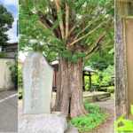 河越夜戦跡　東明寺