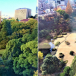 リーガロイヤルホテル東京からの大熊庭園の眺め