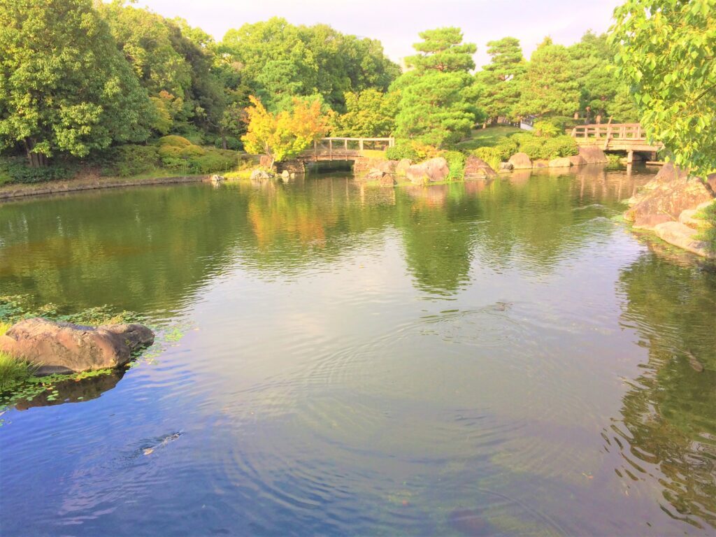 白鳥庭園