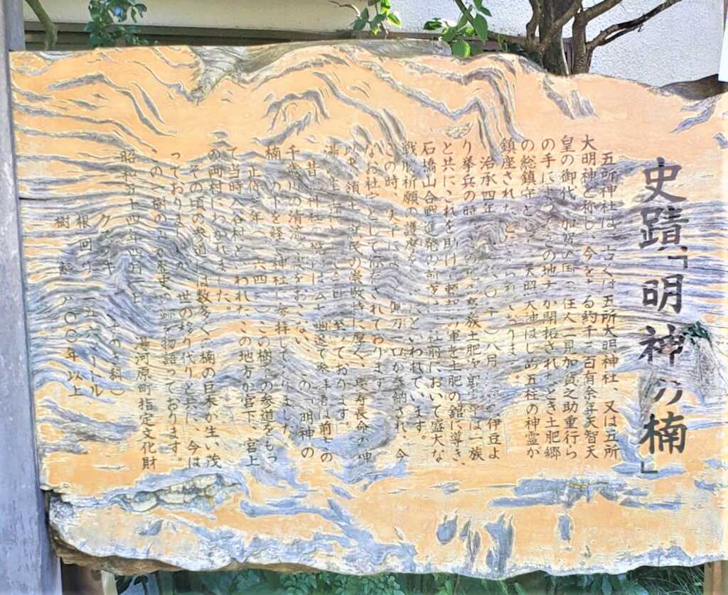 明神の楠@湯河原