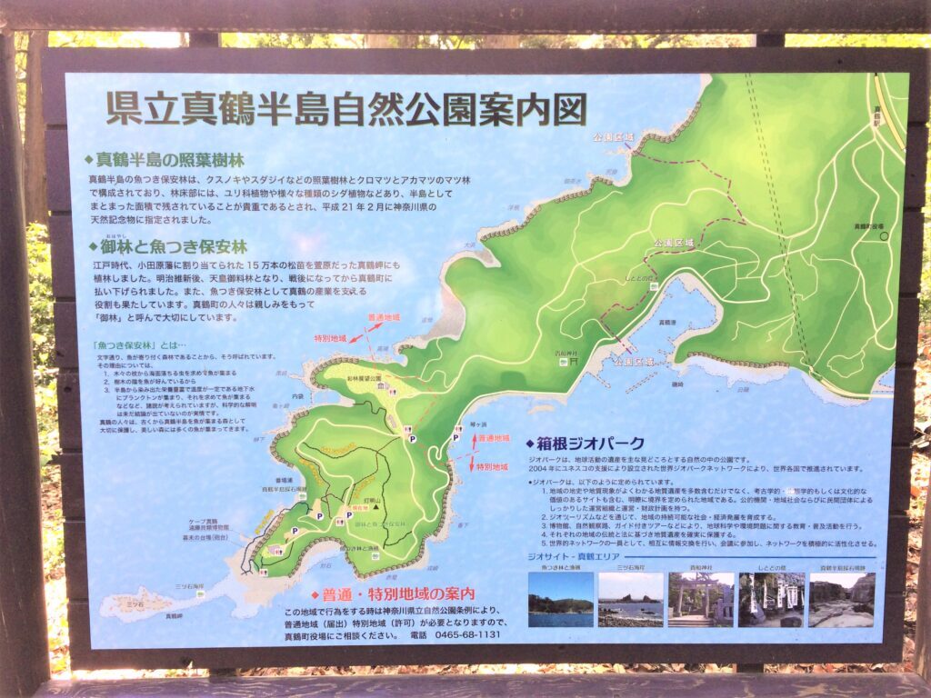真鶴岬