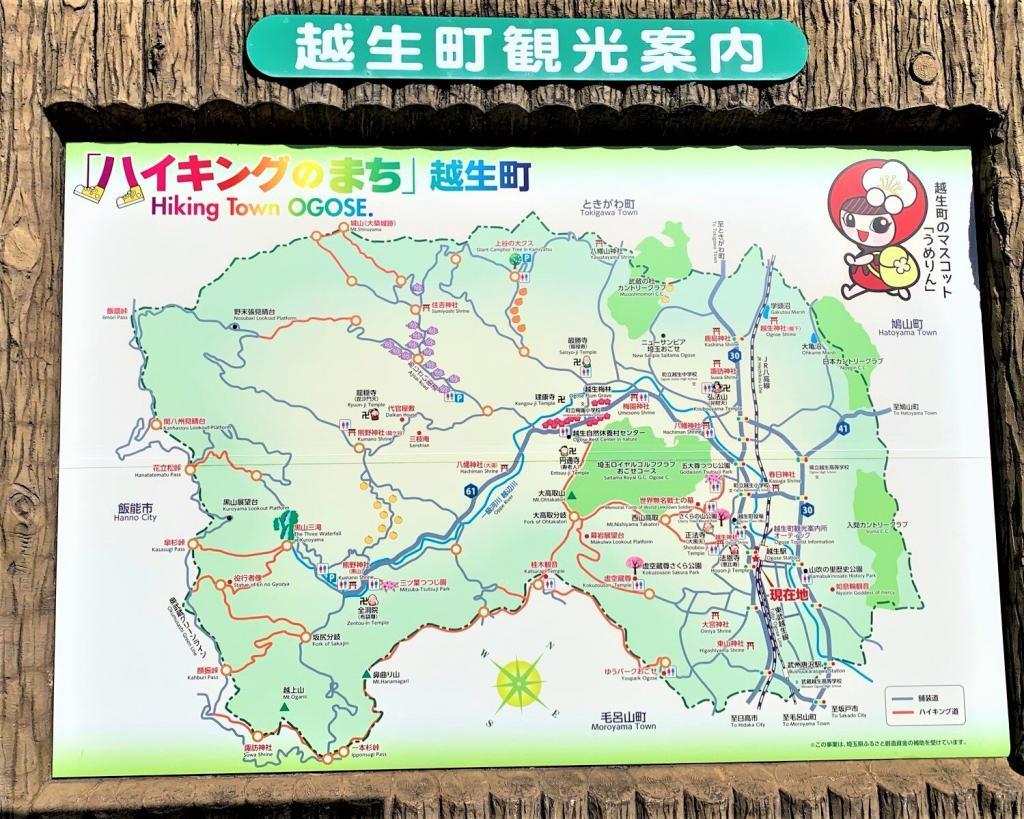越生