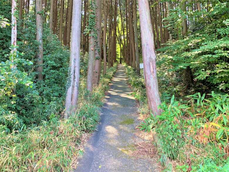 田和目城