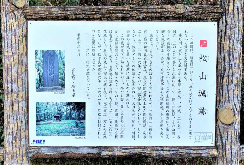 松山城(武蔵国)