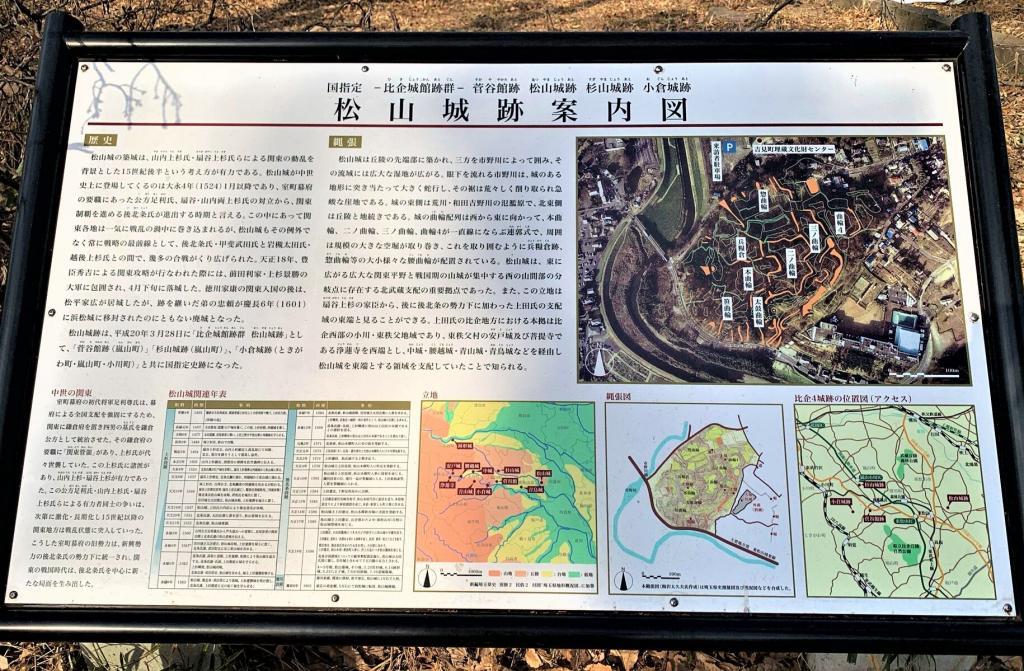 松山城(武蔵国)