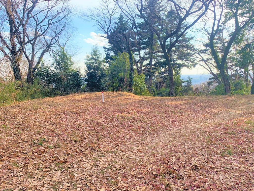 松山城(武蔵国)