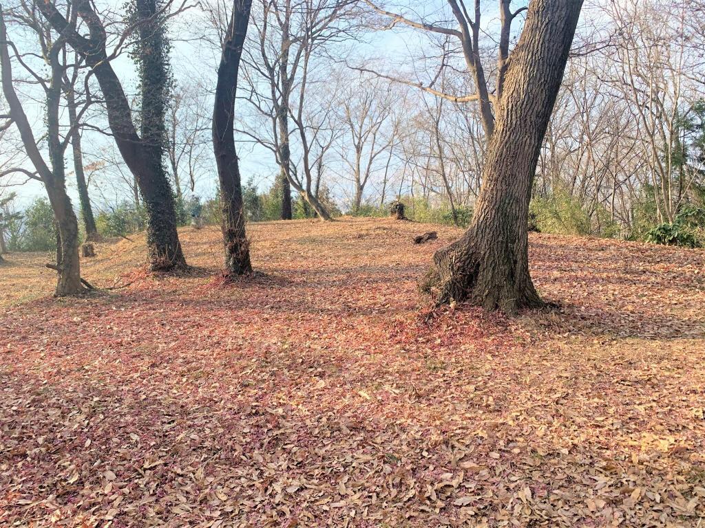 松山城(武蔵国)