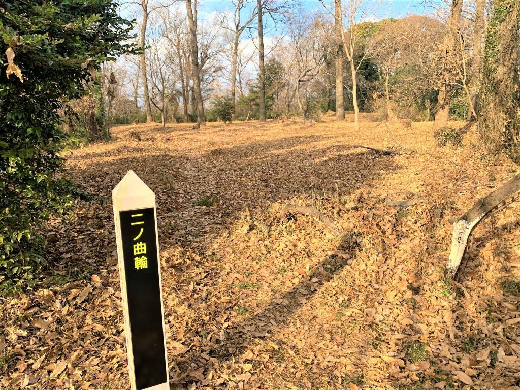 松山城(武蔵国)