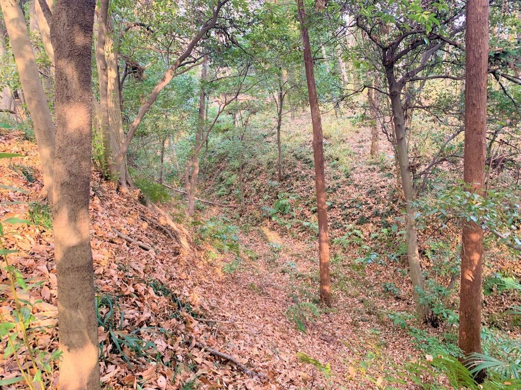 松山城(武蔵国)