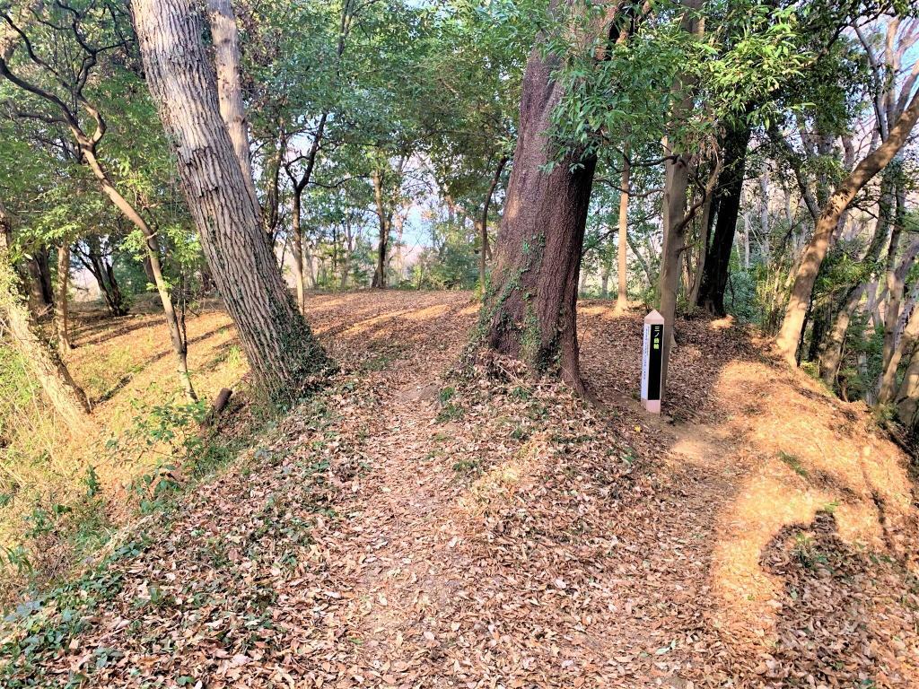 松山城(武蔵国)