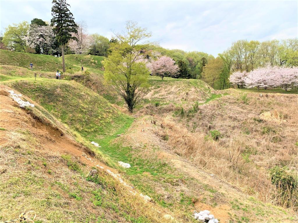 杉山城