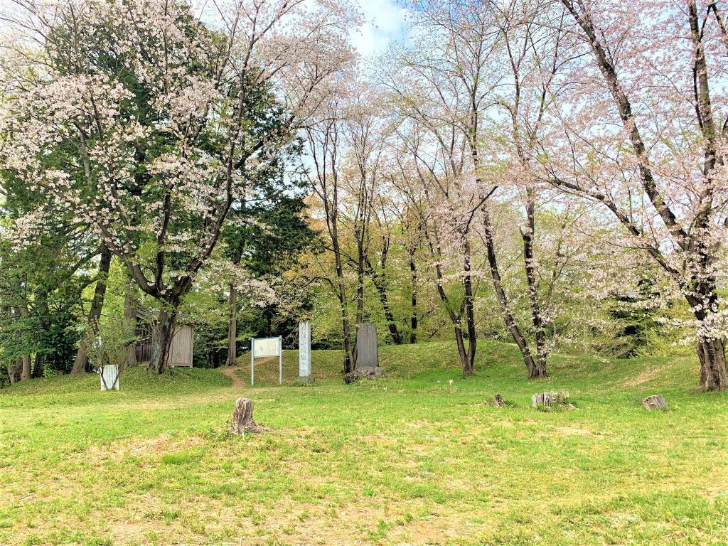 杉山城