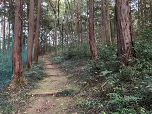 別の森