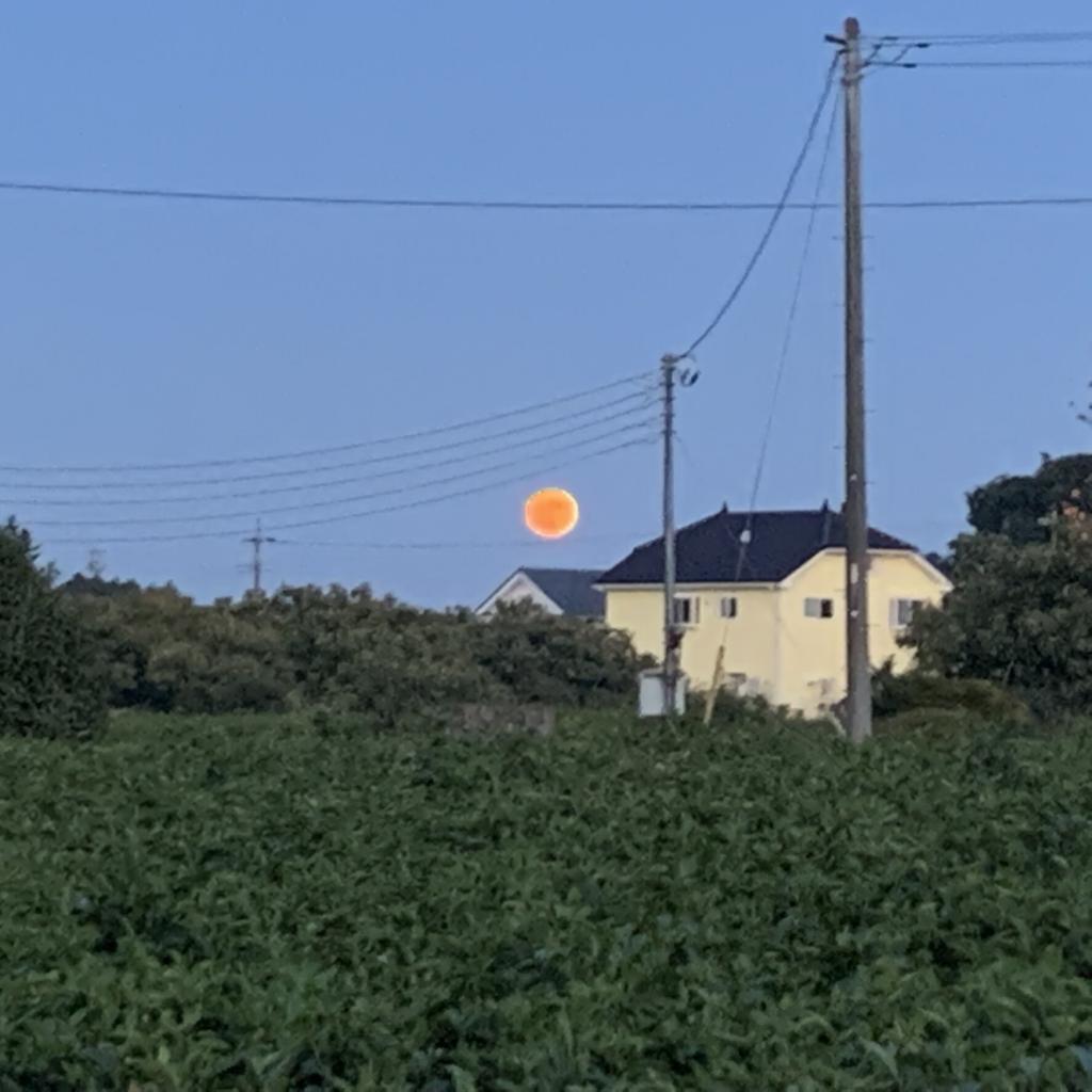 飯能・日高散策