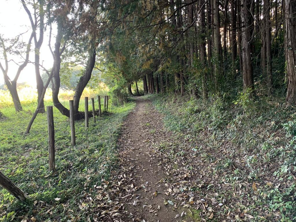 日高散策