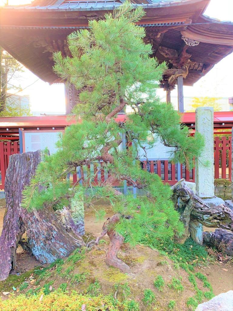 鎌倉街道