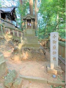 東山道武蔵路(堀兼道)：堀兼神社