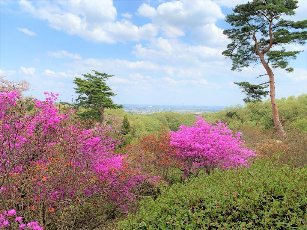 物見山公園