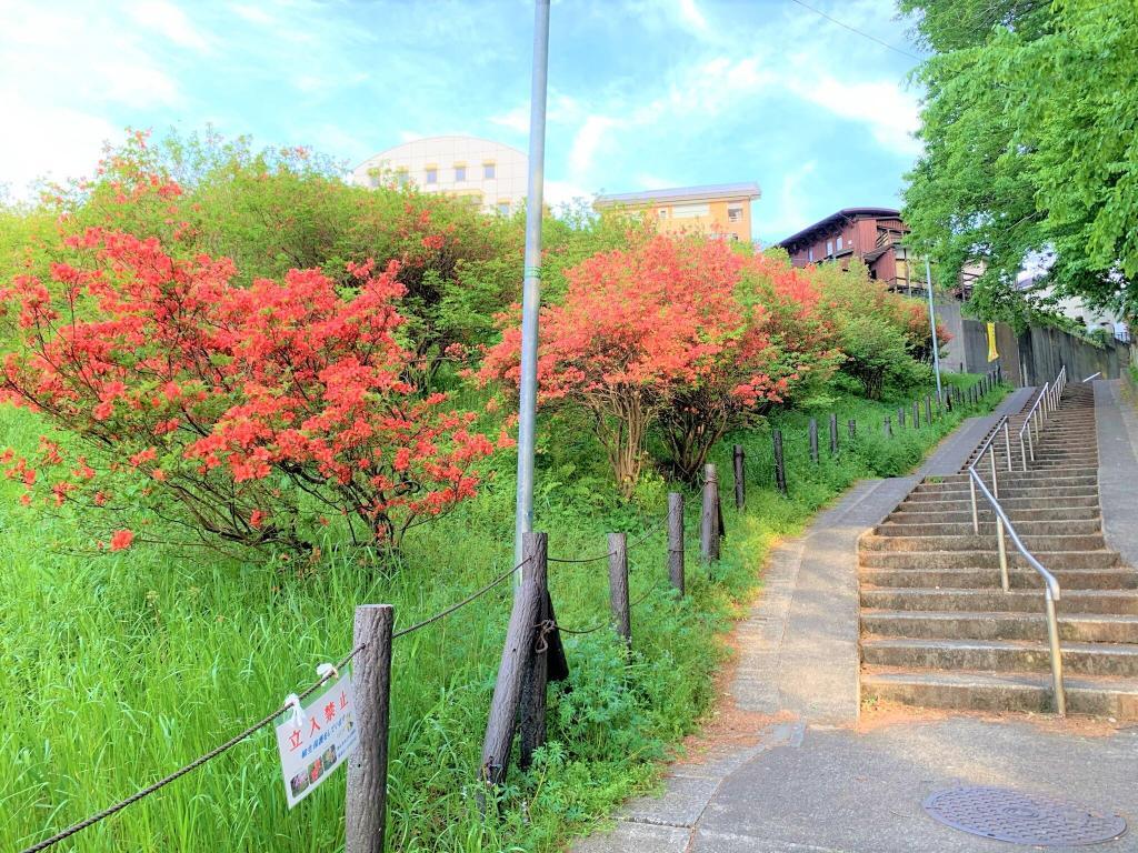 稲荷山公園
