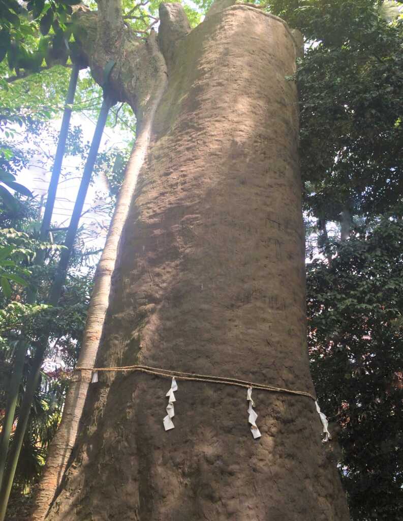 日光脇往還
