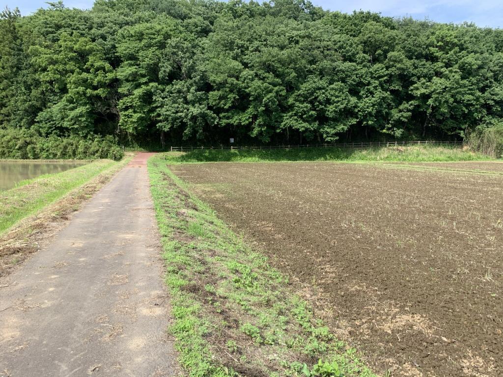 東松山