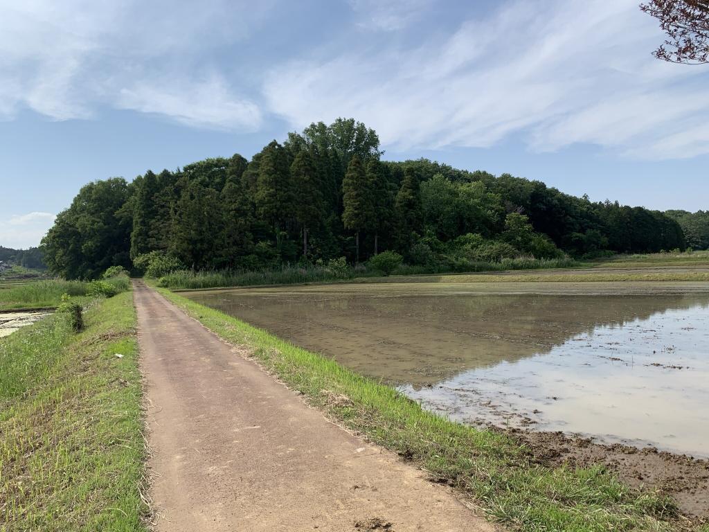 東松山