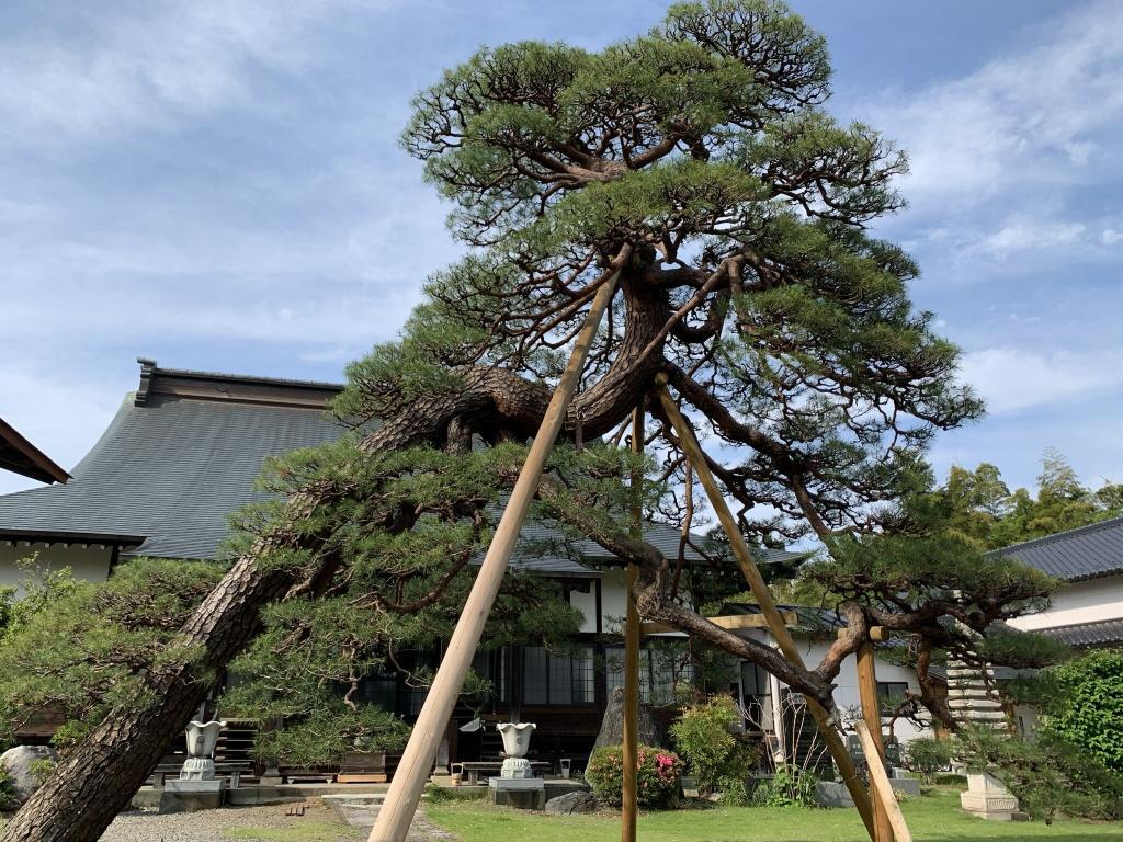 東松山