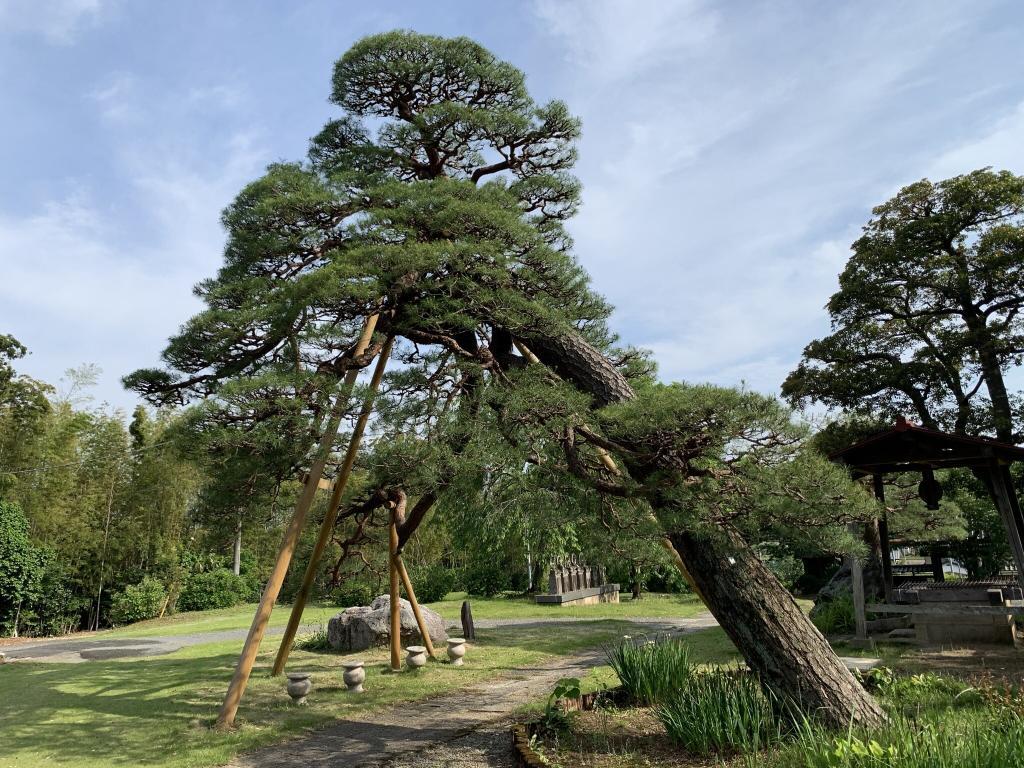 東松山