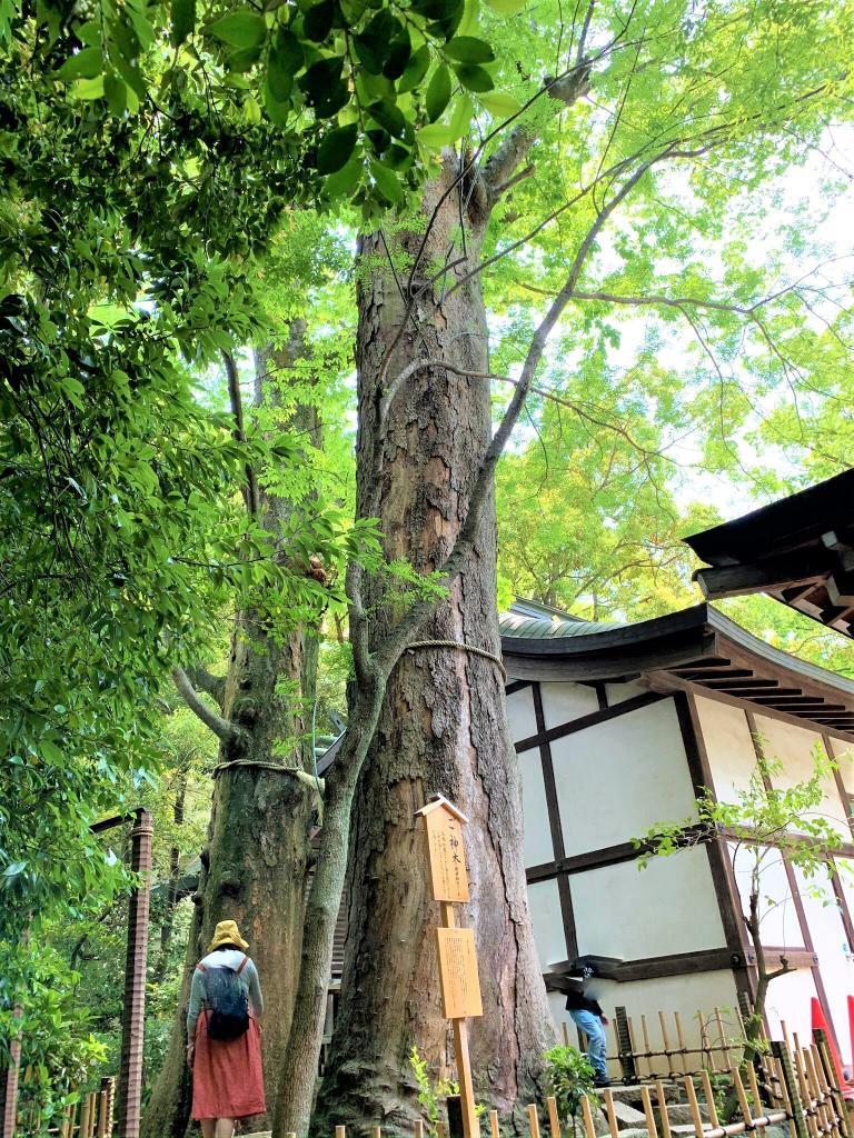 氷川神社