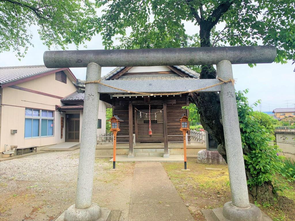 ヒイラギ