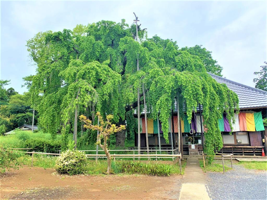 慈眼寺