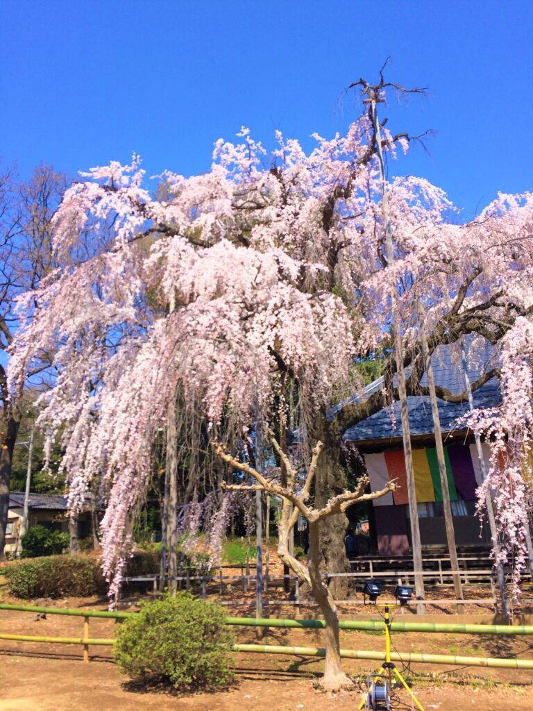 慈眼寺