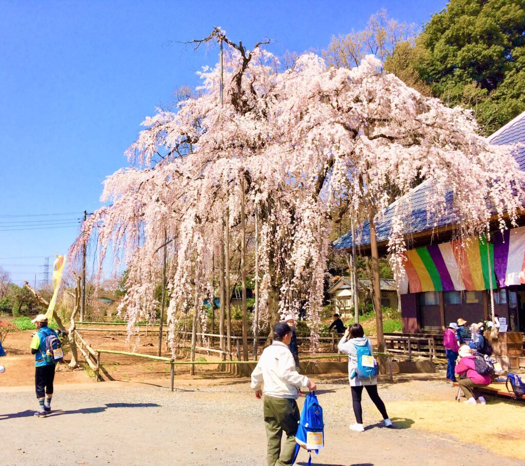 慈眼寺