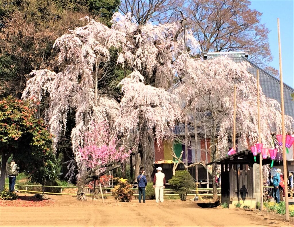 慈眼寺