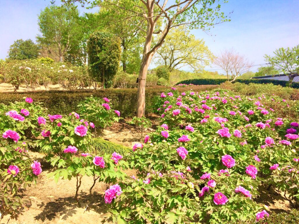東松山
