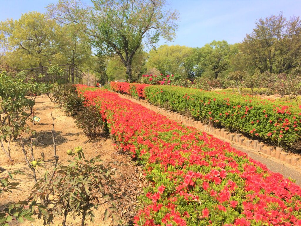 東松山