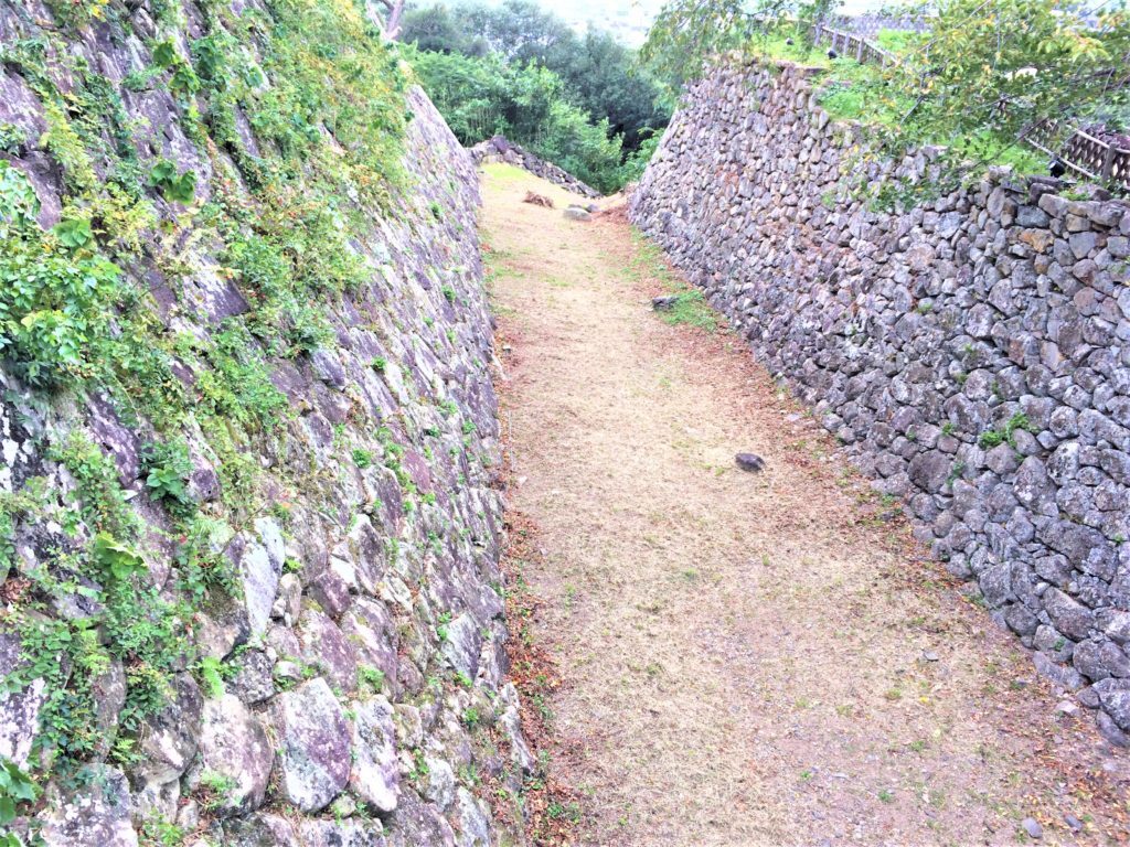 堀(竪堀) 山崎郭がわ