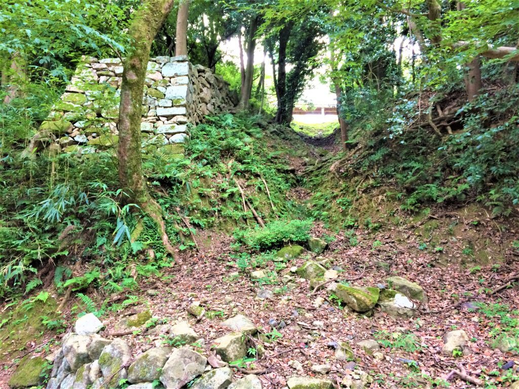 堀(竪堀) 山崎郭がわ