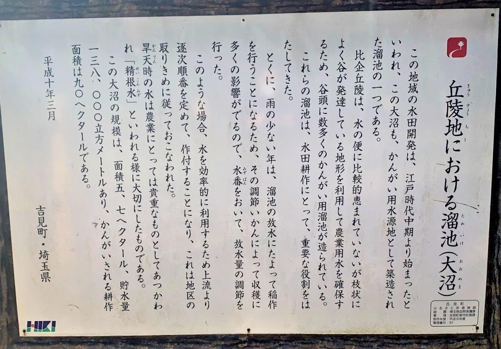 吉見
