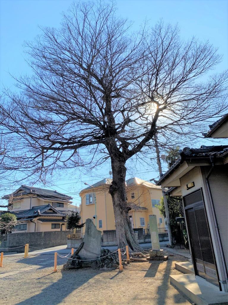 新河岸