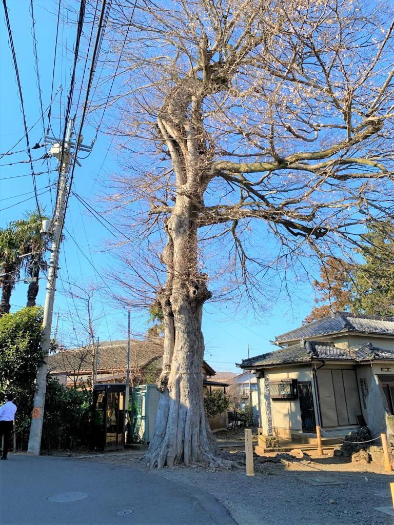 新河岸