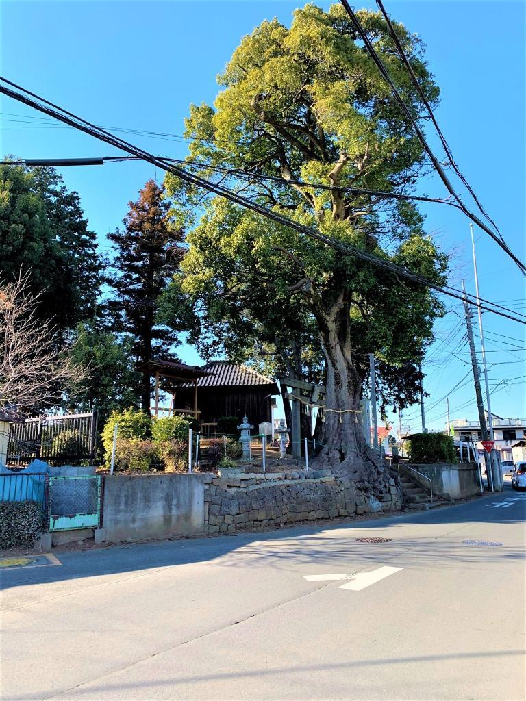 砂氷川神社