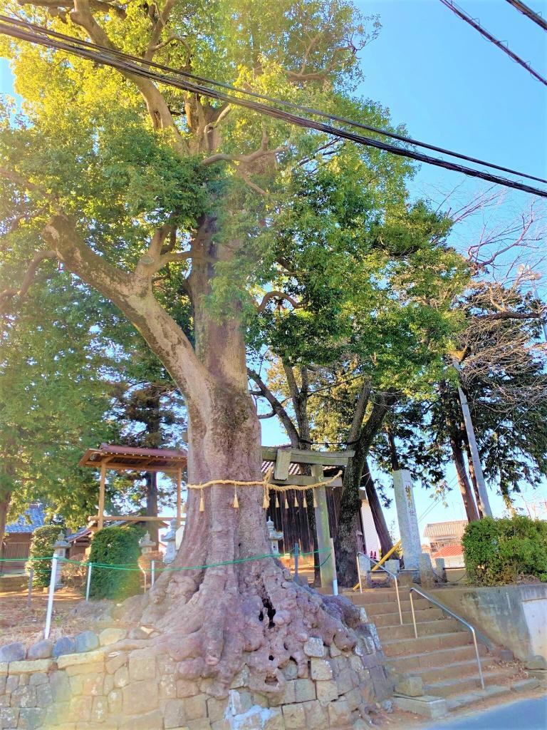 砂氷川神社